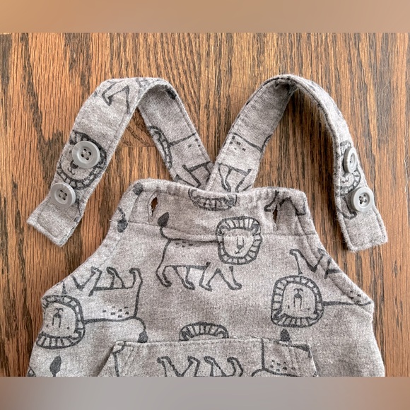 EUC Carter's 2-Piece Lion Print Tee & Overall Set - Gray/Burnt Orange - Newborn - Picture 12 of 16